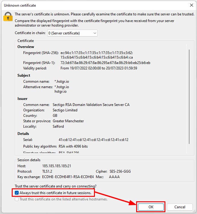 How to Use the Plex VPS Template The Unknown certificate error