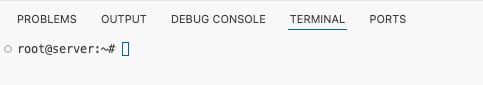 How to Use the VS Code VPS Template How to Use the VS Code VPS Template