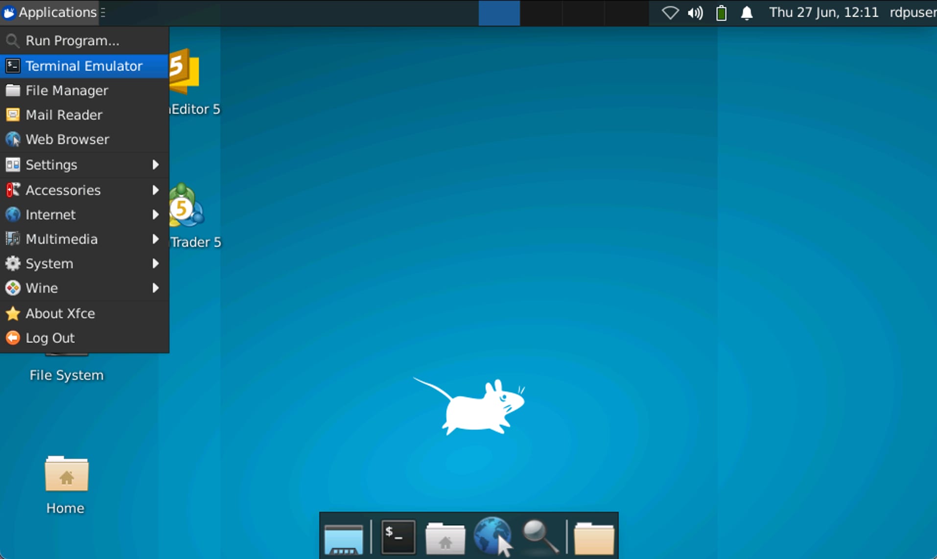 How to run MetaTrader 5 on Hallo-Webseite.de VPS