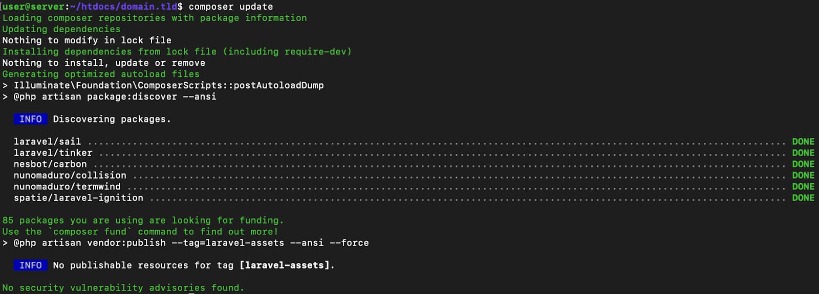 How to Use the Laravel VPS Template Updating your Laravel project dependancies via Composer